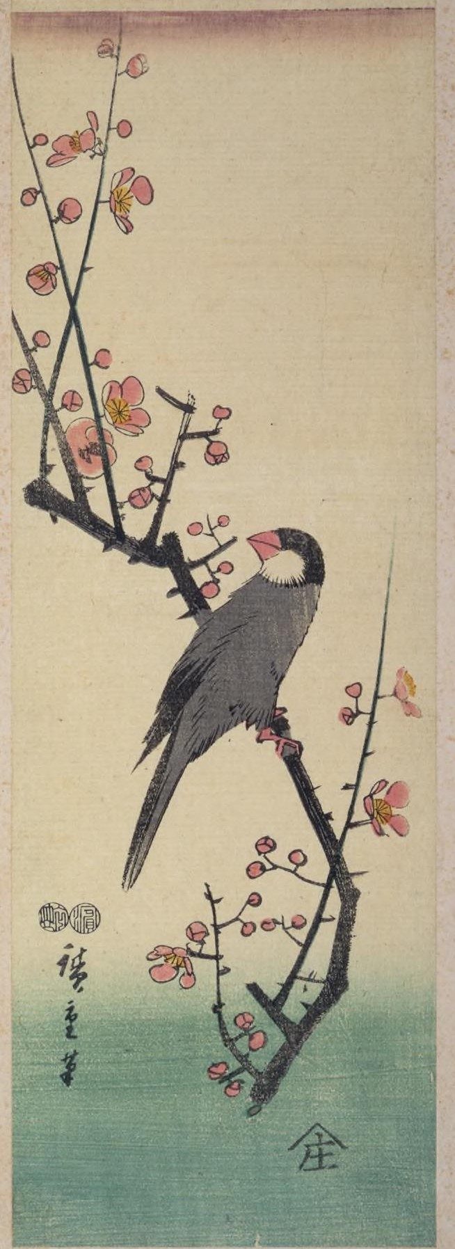 浮世繪：一隻文鳥停在開著粉紅色花的梅枝上